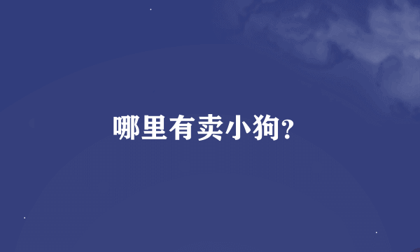 哪里有卖小狗？