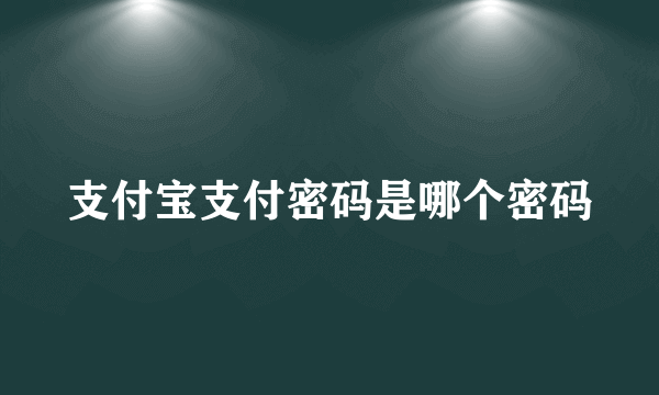 支付宝支付密码是哪个密码
