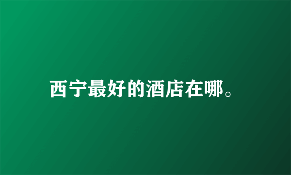 西宁最好的酒店在哪。