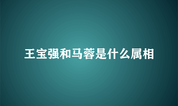 王宝强和马蓉是什么属相