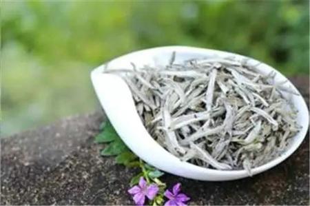 白茶是什么茶产地在哪里