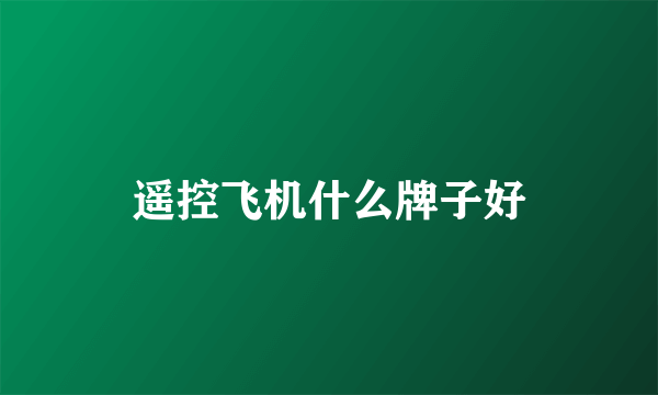 遥控飞机什么牌子好