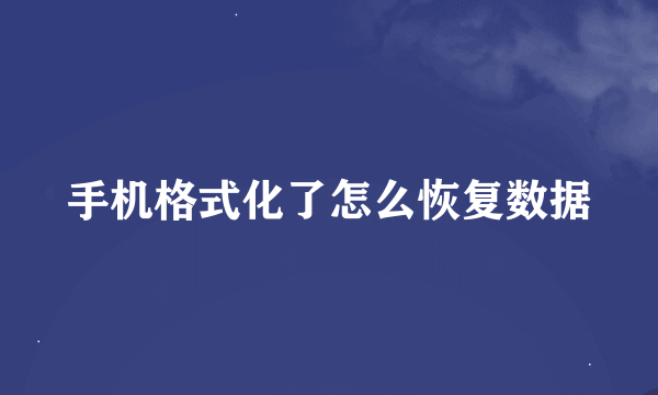 手机格式化了怎么恢复数据