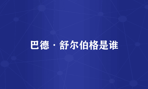 巴德·舒尔伯格是谁