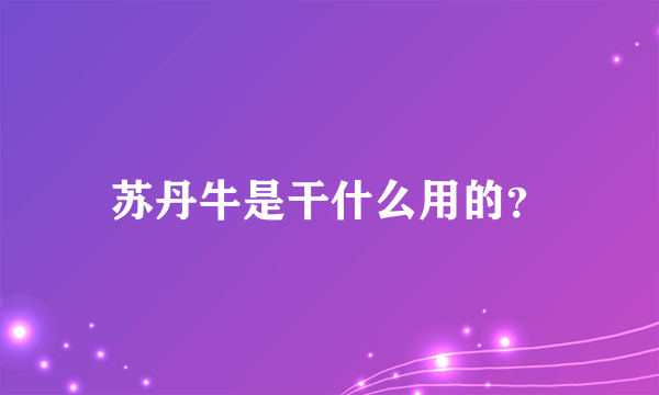 苏丹牛是干什么用的？