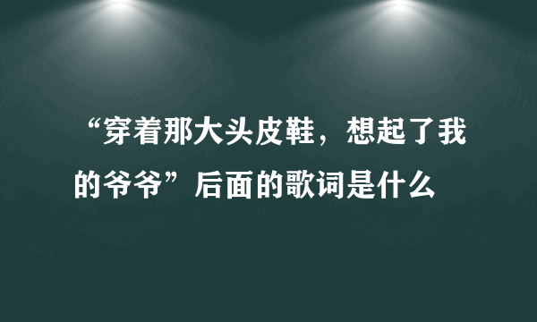 “穿着那大头皮鞋，想起了我的爷爷”后面的歌词是什么