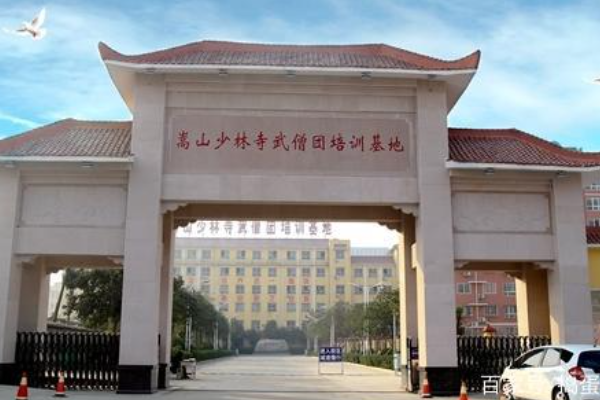 中国十大武术学校是那十个?