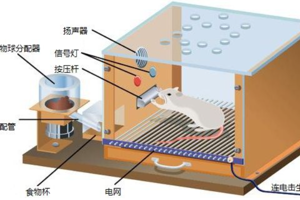 操作性条件反射的例子有哪些？