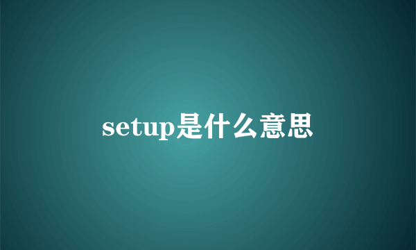setup是什么意思