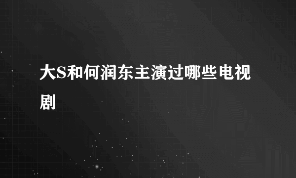 大S和何润东主演过哪些电视剧