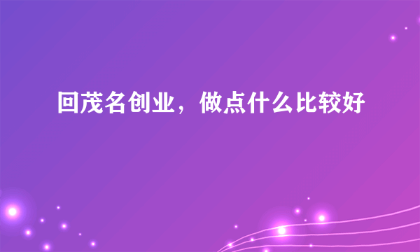 回茂名创业，做点什么比较好