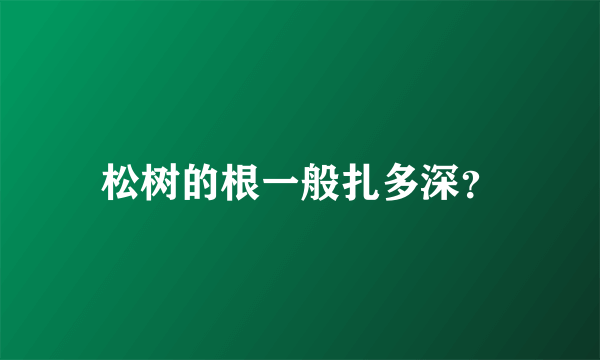 松树的根一般扎多深？
