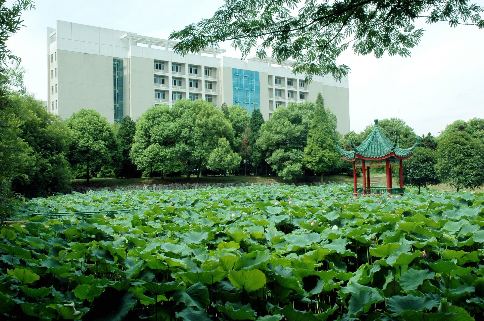 湖南科技大学是一本吗