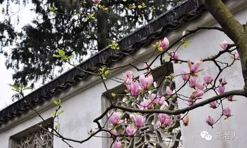 最适合养老的城市有哪些