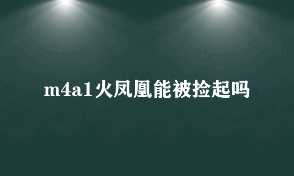 m4a1火凤凰能被捡起吗