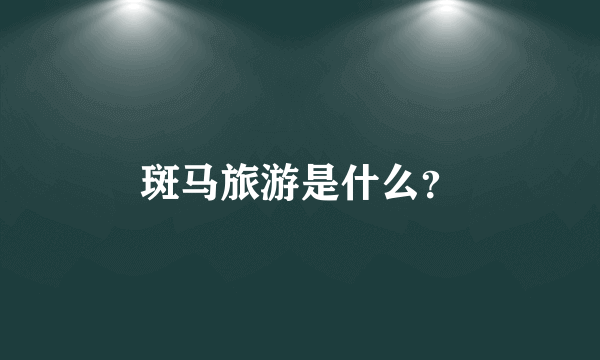 斑马旅游是什么？