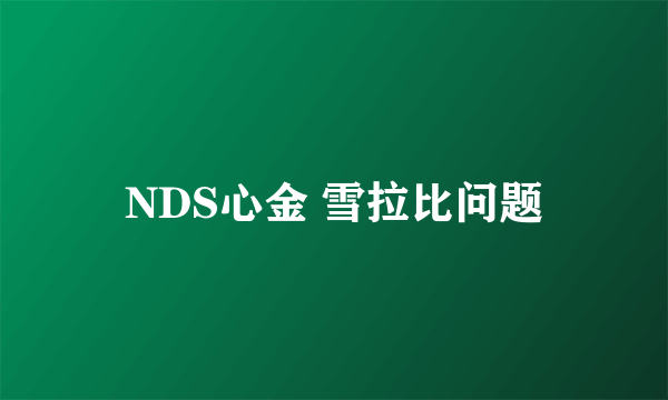 NDS心金 雪拉比问题