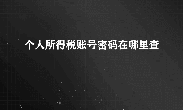 个人所得税账号密码在哪里查