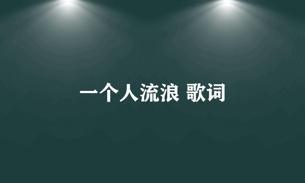 一个人流浪 歌词