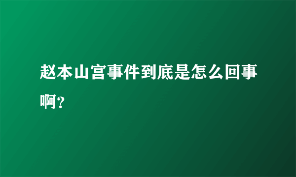 赵本山宫事件到底是怎么回事啊？