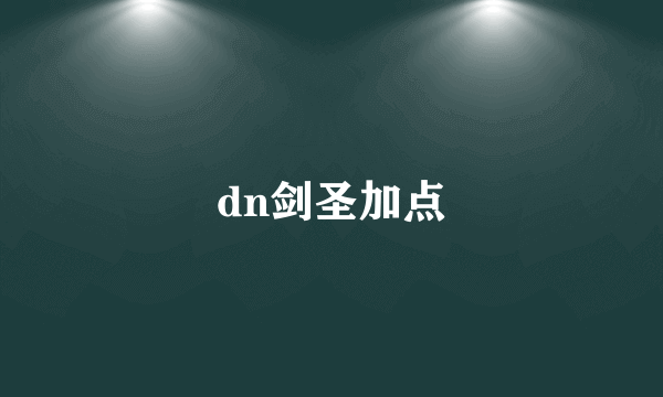 dn剑圣加点