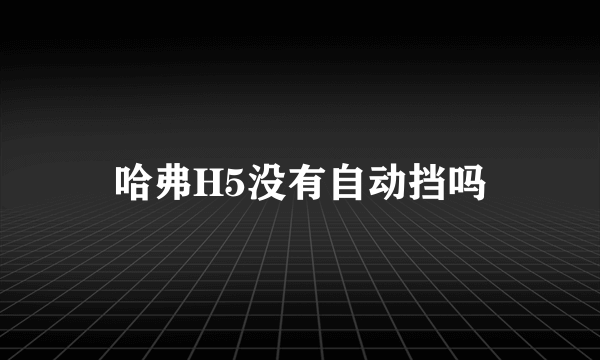 哈弗H5没有自动挡吗