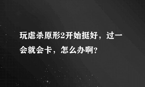 玩虐杀原形2开始挺好，过一会就会卡，怎么办啊？