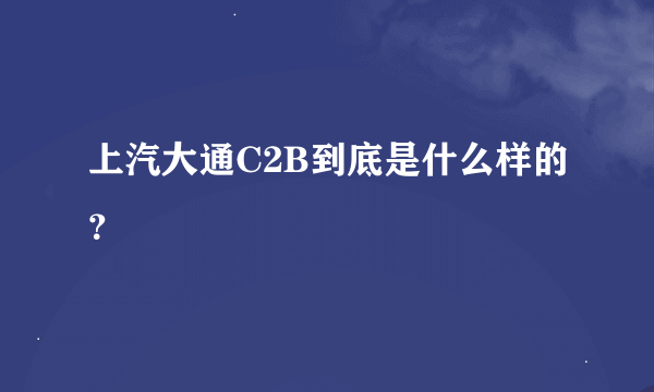 上汽大通C2B到底是什么样的？