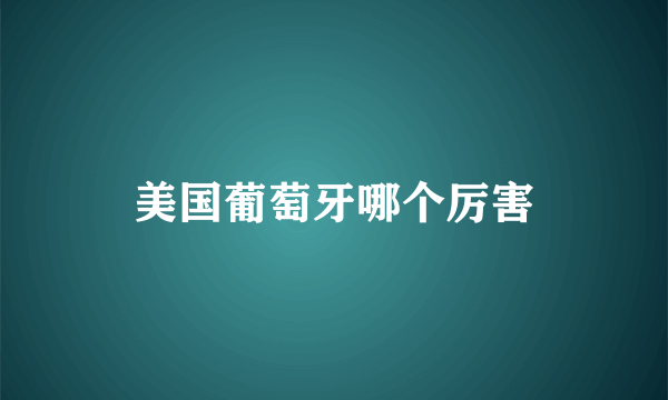 美国葡萄牙哪个厉害