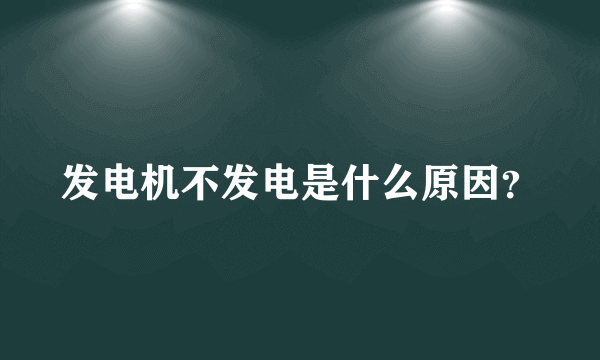 发电机不发电是什么原因？