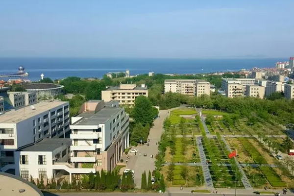 480分能考上什么大学